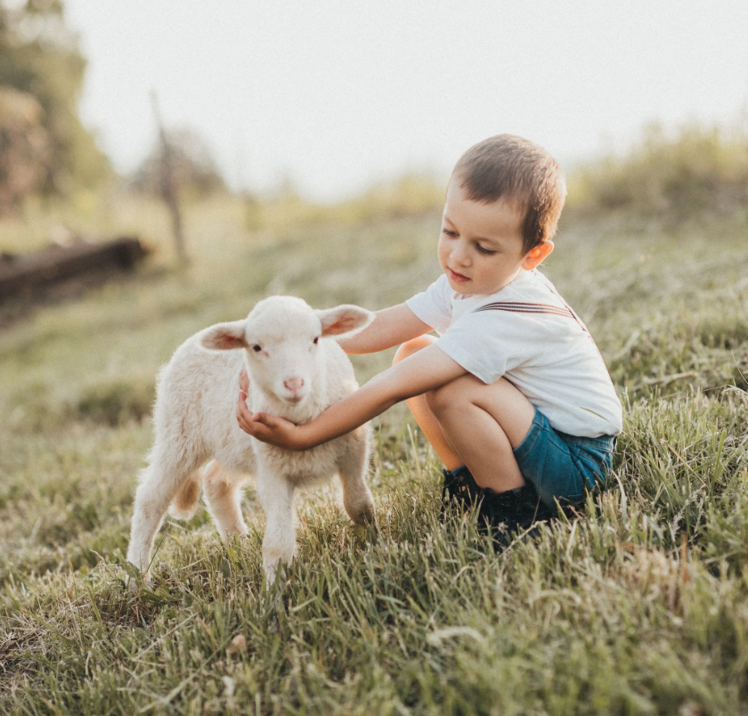 Caring for your garment