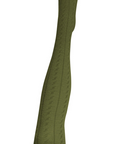 Tightology Form Merino TIghts