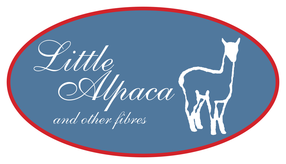 Infinite Suri Alpaca Loop Scarf Little Alpaca